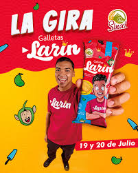 Galleta Sinai Larin 6 Pack (336g)